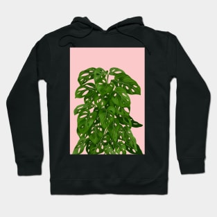 Modern House plant in pink 9, Abstract Plant Art Hoodie